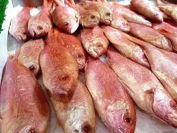 Sveža morska riba prodaja Herceg Novi (3).jpg