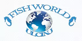 FISH WORLD DOO