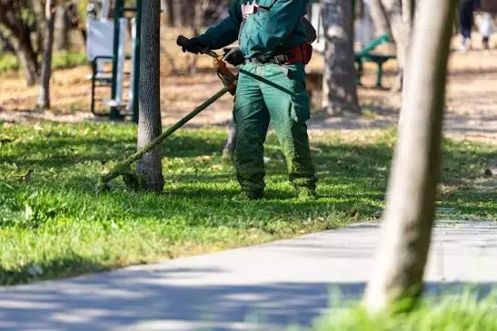 KošenjedvorištaNoviBeograd2 KošenjedvorištaNoviBeograd2