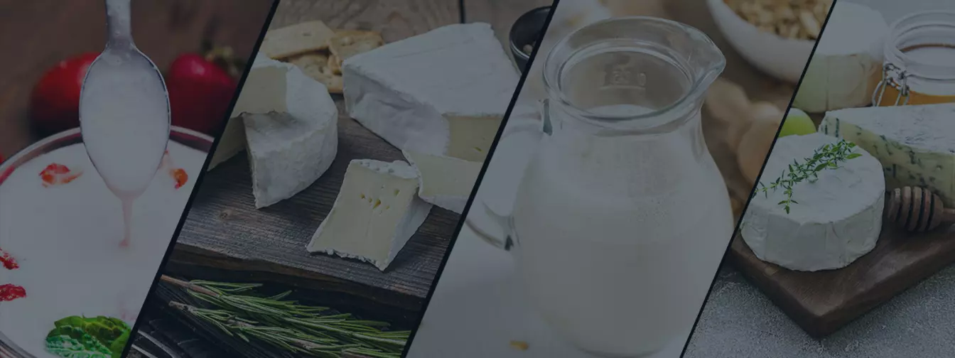Mlijeko i mliječni proizvodi