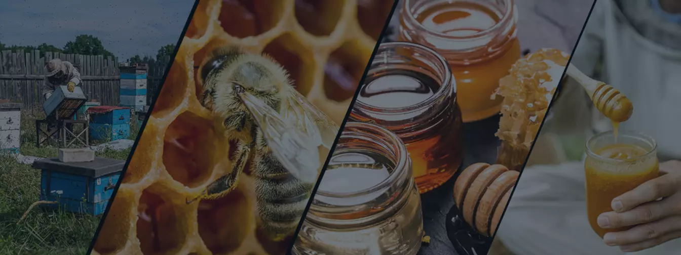 Pčelarstvo i oprema
