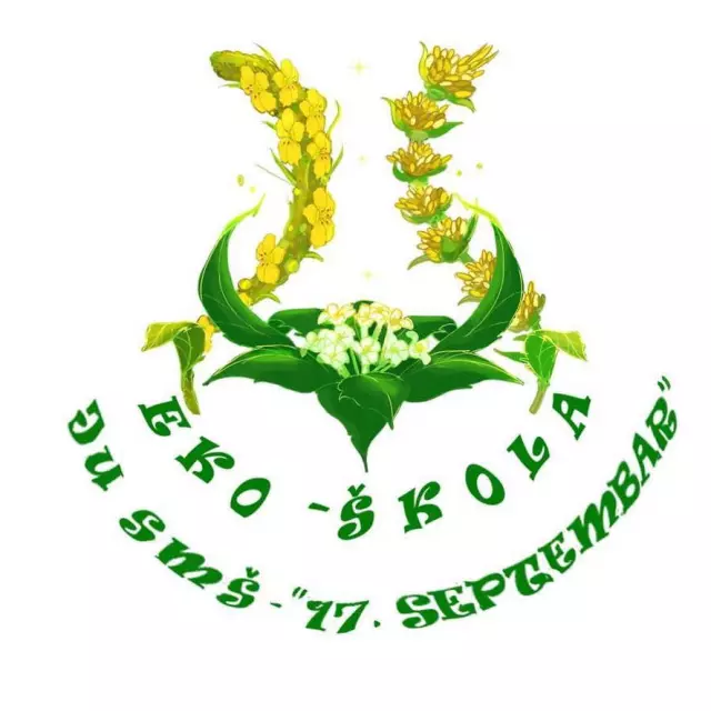 JU Srednja mješovita škola  "17. septembar"