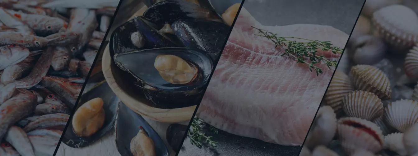 Uzgoj ribe i školjki