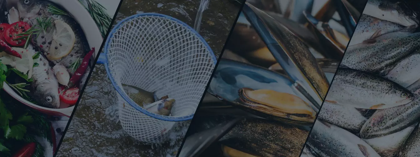 Uzgoj ribe i školjki