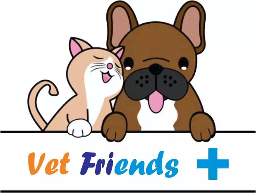 Veterinarska ambulanta VET FRIENDS DOO