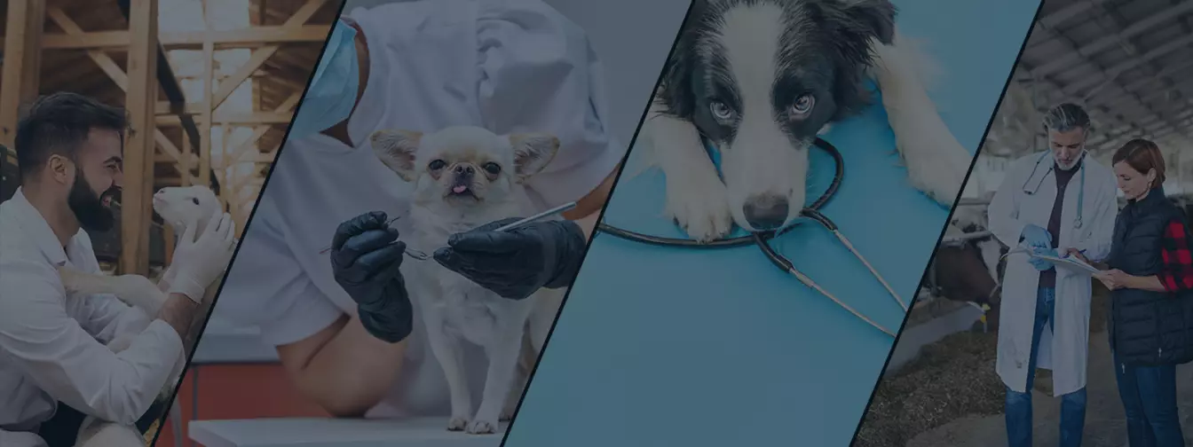 Veterinarske ordinacije i veterinari