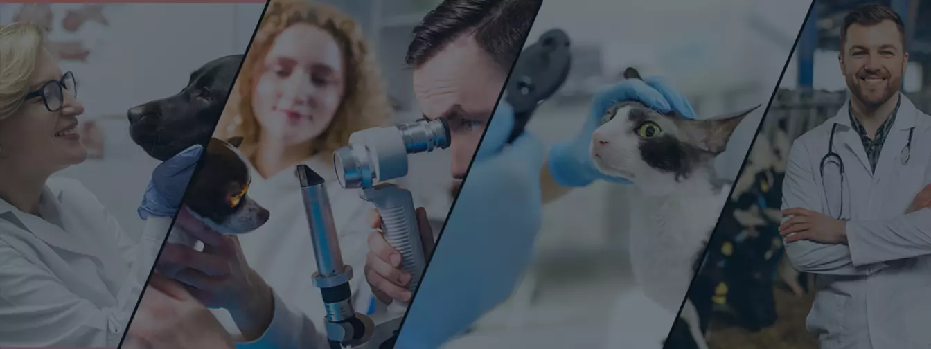 Veterinarske ordinacije i veterinari